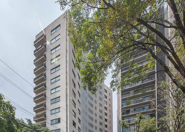 Element By Condesa Luxurious And Cozy With A Unique Panoramic View Of The *